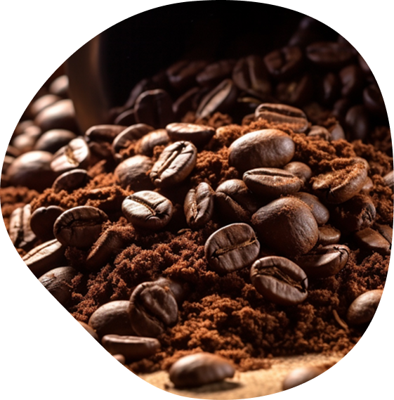Roasted coffee beans